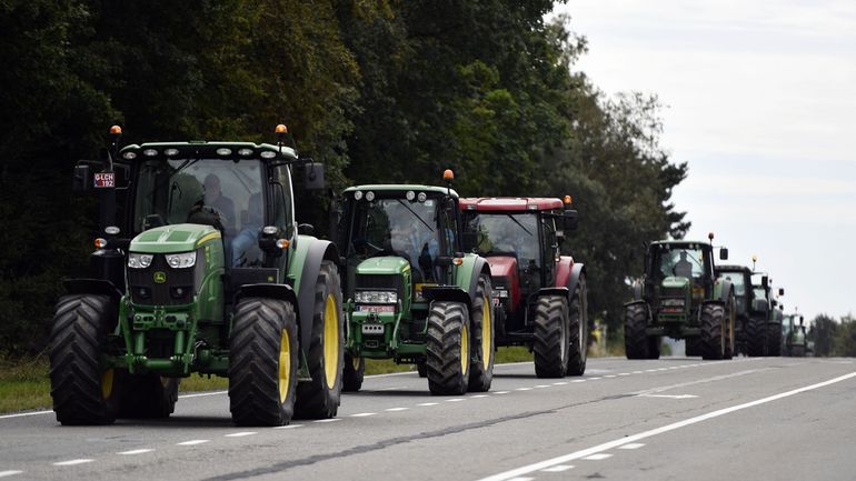 PAC wallonne : l'équilibre entre revenus et écologie qui satisfait les agriculteurs