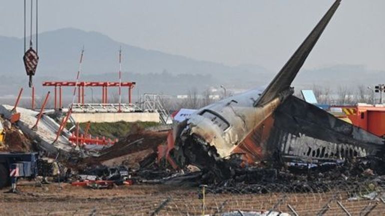 Accident d'avion en Corée du Sud : un rapport confirme la présence de plumes dans les moteurs du Boeing