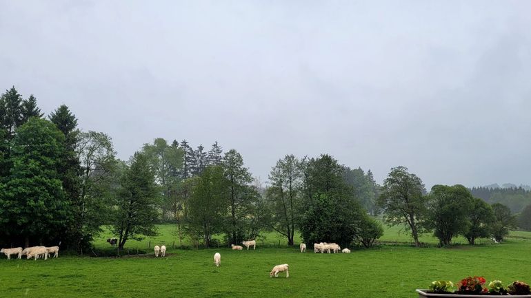 Météo en Belgique : encore de nombreux nuages et quelques averses au programme de ce dimanche