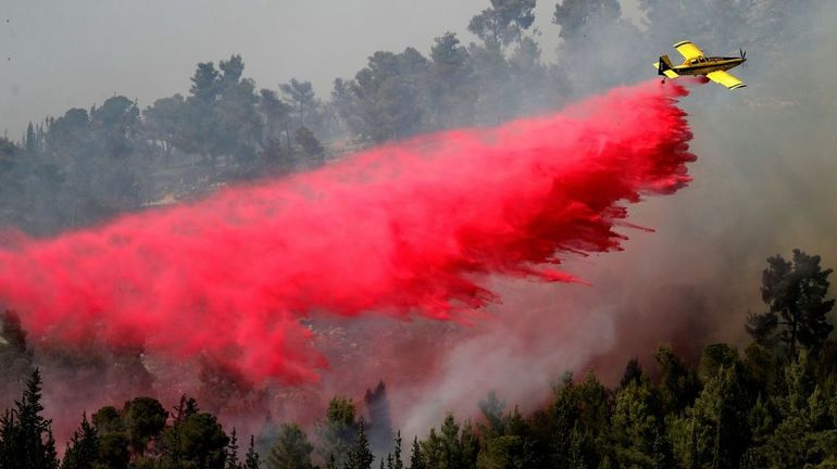 Une forêt en feu aux abords de Jérusalem, des villages évacués