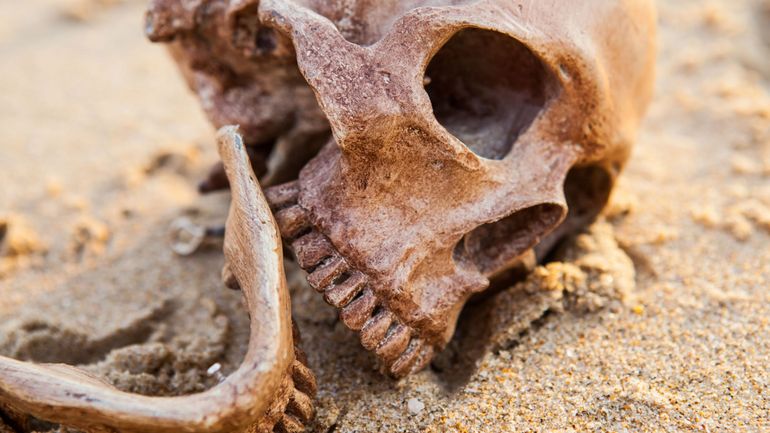 L'ADN d'un squelette découvert en Indonésie révèle un groupe humain encore inconnu