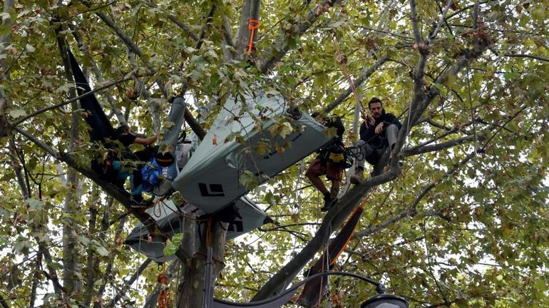 France : un opposant à l'autoroute Toulouse-Castres délogé de son arbre face au ministère de la Transition écologique