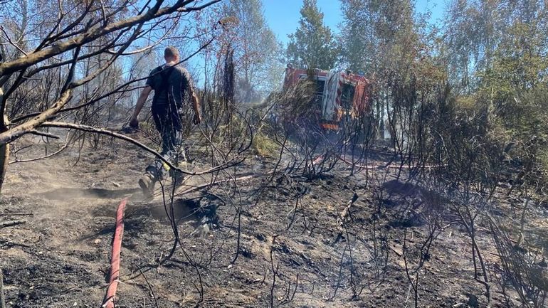Libramont : important feu de forêt samedi après-midi