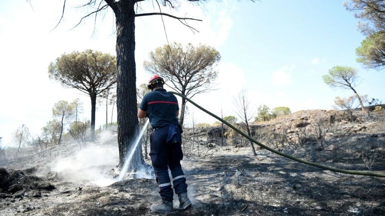 France : l'incendie dans le Var (Côte d'Azur) toujours surveillé étroitement par 400 pompiers