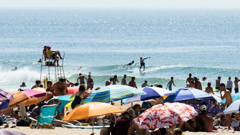 Une eau à plus de 30 degrés : la mer Méditerranée subit une nouvelle canicule marine