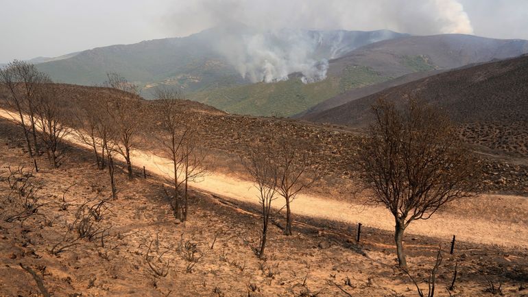 Incendies de forêt en Espagne : une personne est décédée