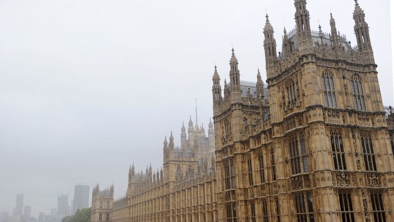 Royaume-Uni : arrestation d'un homme soupçonné d'intrusion au Parlement britannique