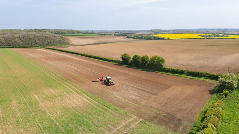 De moins en moins de fermes en Belgique, mais de plus en plus grandes