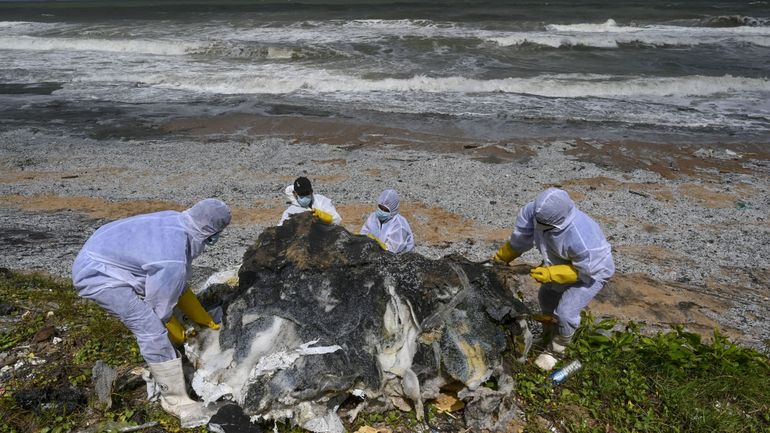 Sri Lanka : une plage polluée par des tonnes de plastique provenant d'un navire en feu