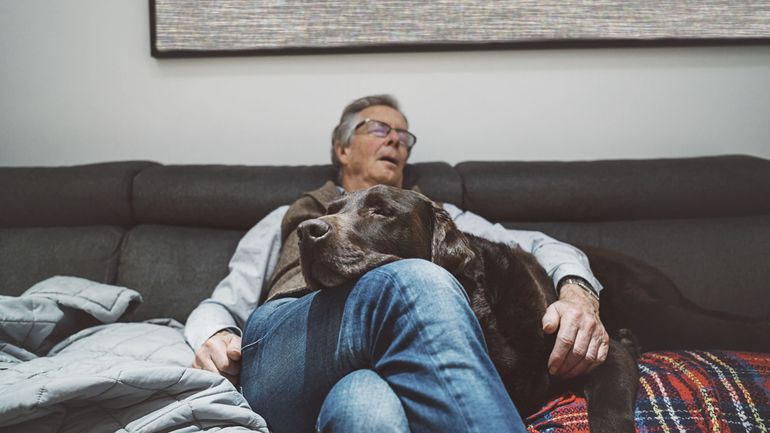 Et si vous deveniez famille d’accueil pour un chien ou un chat ?