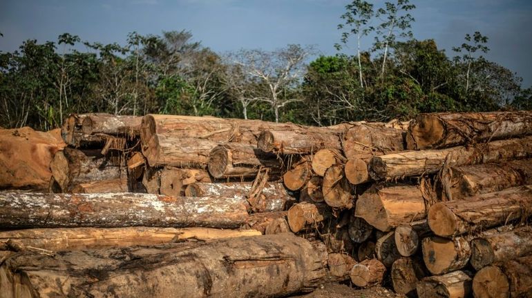 Smartphones et satellites comme moyen de lutte contre la déforestation pour les populations indigènes