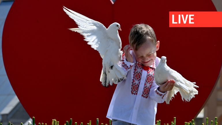 Direct - Guerre en Ukraine : nouvelle nuit d'attaques aériennes sur Kiev et différentes villes, Zelensky dimanche au sommet du G7 à Hiroshima
