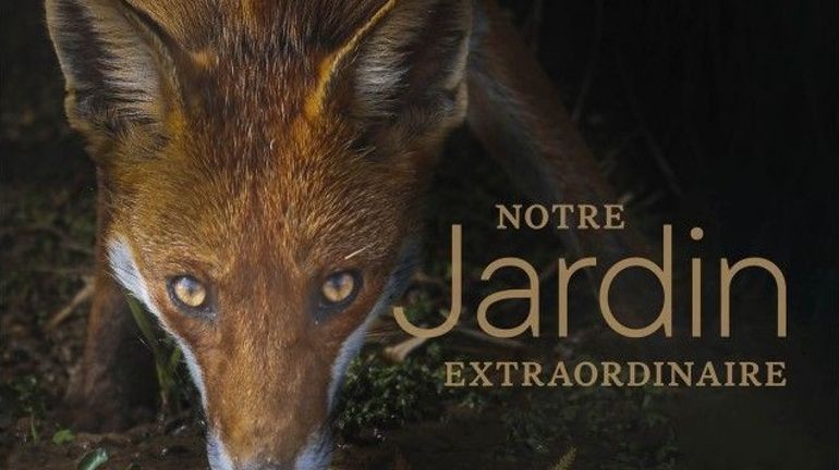 Concours : Remportez un livre du Jardin Extraordinaire