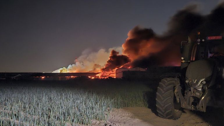 Incendie dans une entreprise de surgelés en Flandre-Occidentale : 3000 habitants invités à évacuer