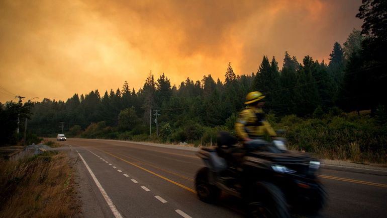 Incendies en Argentine : après les forêts de Patagonie, les feux de prairies du nord