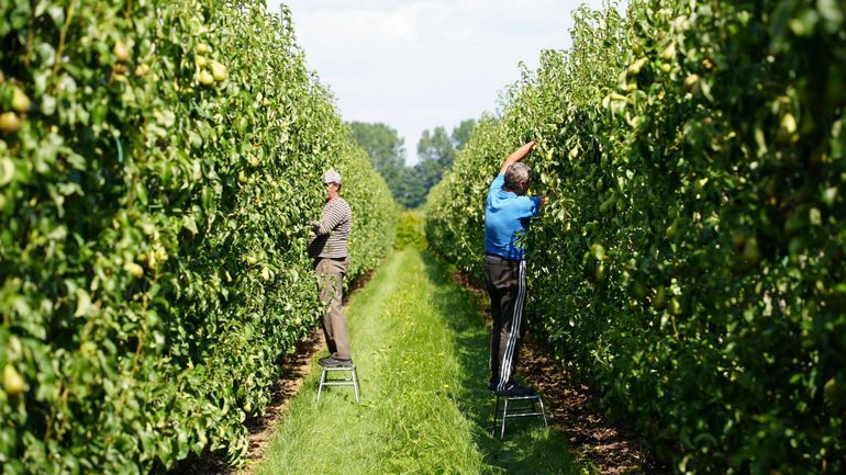 Oxfam Belgique dénonce des inégalités de genre flagrantes dans l'agriculture en Wallonie