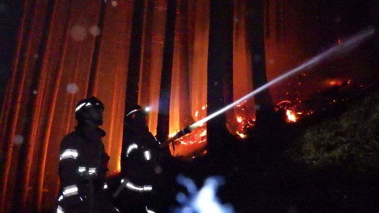 Japon : le pire incendie de forêt depuis 50 ans à présent maîtrisé