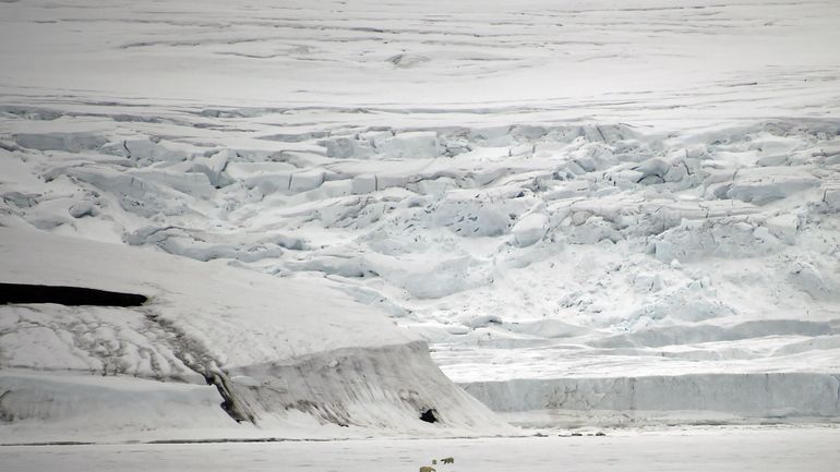 Des scientifiques belges étudieront l'impact du changement climatique en Arctique