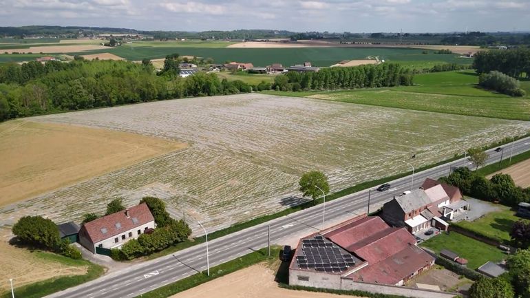 C'est quoi ce plastique dans les champs qui ressemble à de l'eau ?