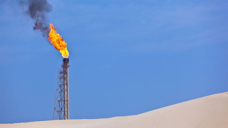 Guerre en Ukraine et énergie : le Qatar se déclare prêt à livrer du gaz naturel à l'Allemagne dès 2024
