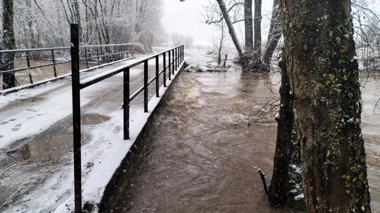 Intempéries : de nombreux cours d'eau en alerte de crue en Wallonie, des débordements par endroits