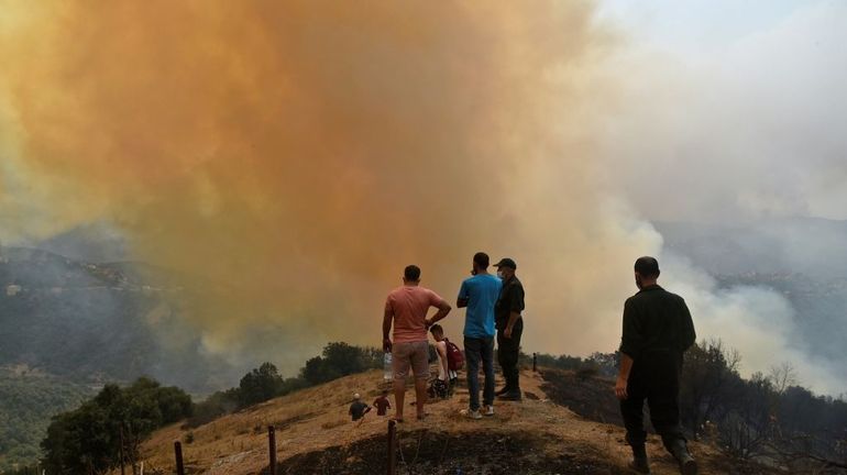 Incendies en Algérie : les autorités accusent un 