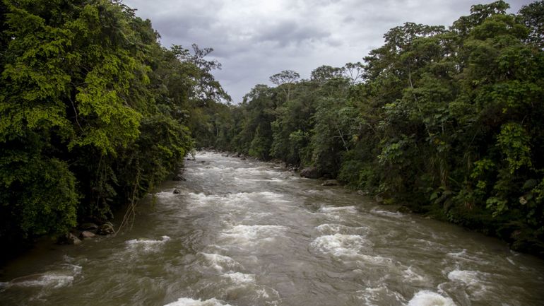 Equateur : fuite de pétrole et pollution du fleuve Napo, affluent de l'Amazone