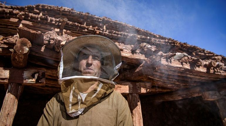 Au Maroc, les abeilles désertent le plus ancien rucher au monde