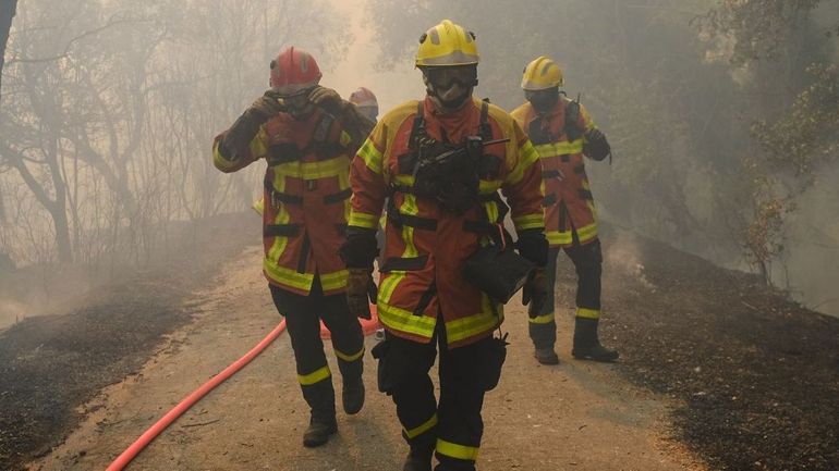 France : 700 pompiers luttent contre un grand incendie dans le Gard, 