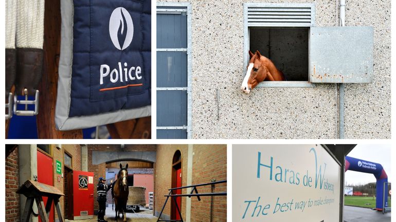 Police à cheval : le déménagement des casernes d'Etterbeek vers Rebecq débute ce lundi