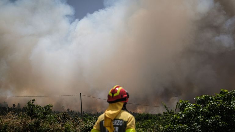 En Espagne, une entreprise de reboisement à l'origine d'un incendie de 14.000 hectares