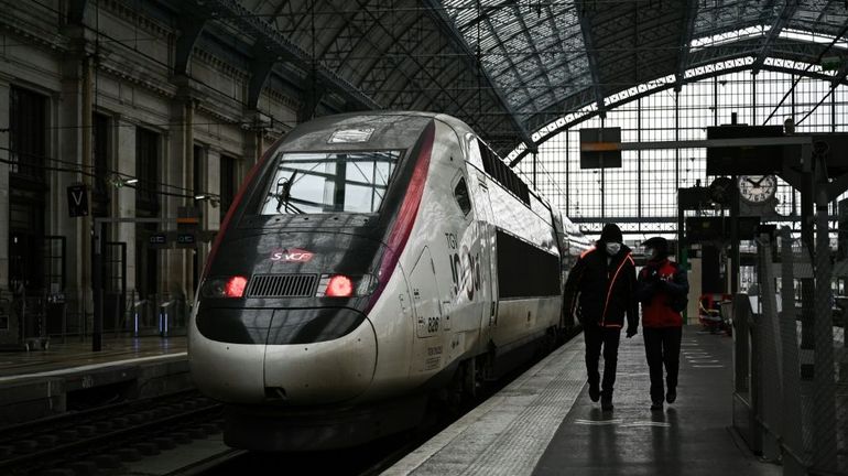 France : appels à la grève sur certaines lignes TGV au début des vacances de Noël