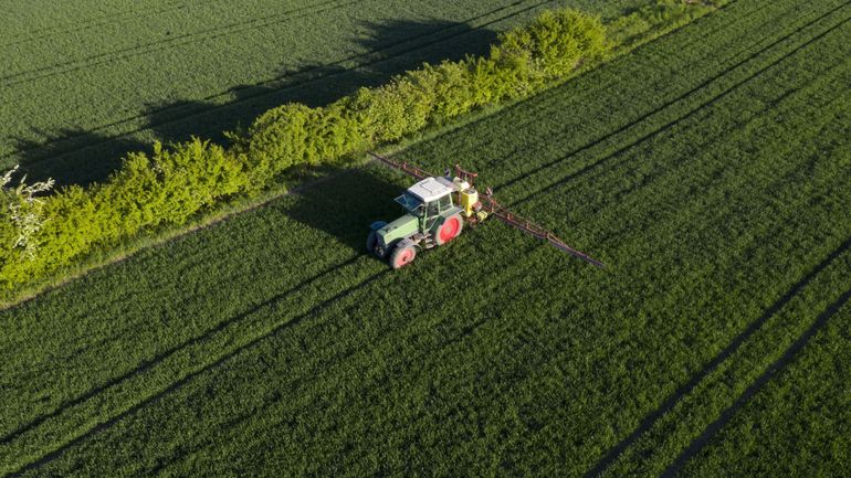 Pas de consensus entre États sur l'autorisation européenne du glyphosate