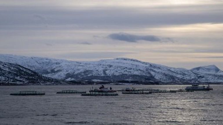 Extraction minière sous-marine : WWF attaque la Norvège en justice