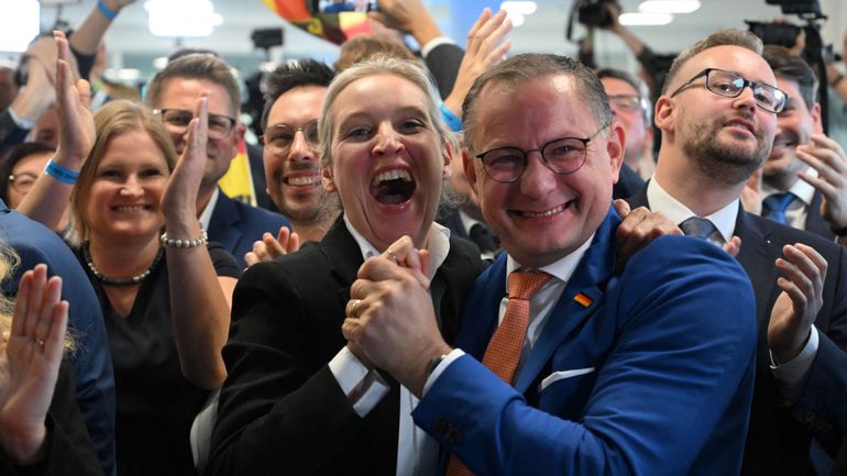 Elections européennes : les sondages donnent l'extrême droite en nette progression en Allemagne, en Autriche et aux Pays-Bas