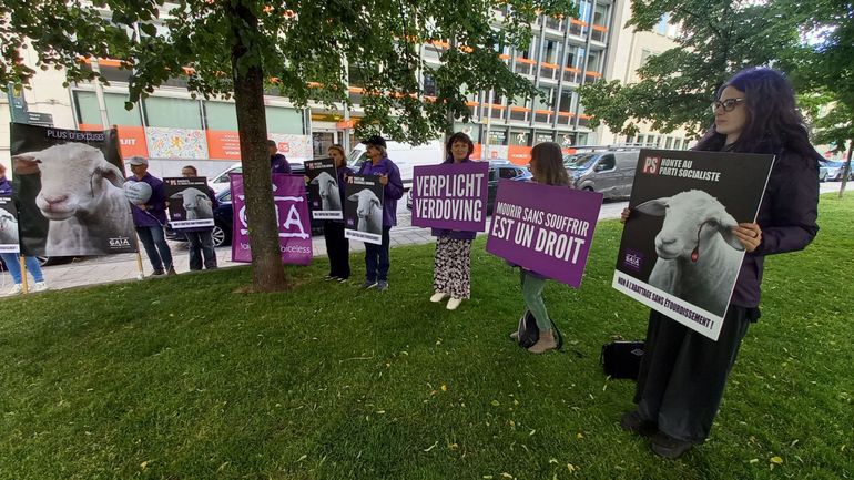 Abattage sans étourdissement: Gaia trouve 