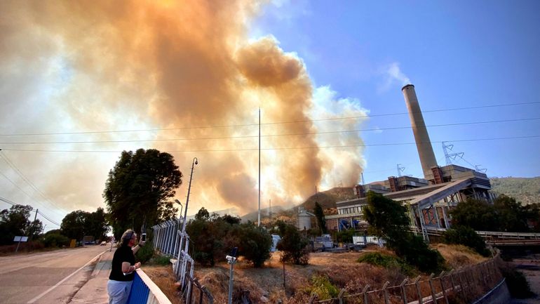 Turquie : incendies maîtrisés autour d'une centrale thermique menacée