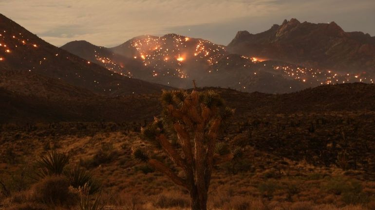 Etats-Unis : un énorme incendie en Californie et au Nevada provoque des tornades de feu