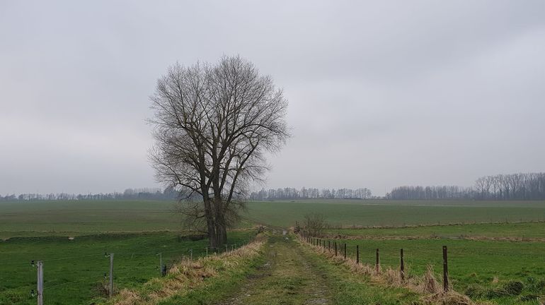 Un dimanche gris avant un lundi au soleil