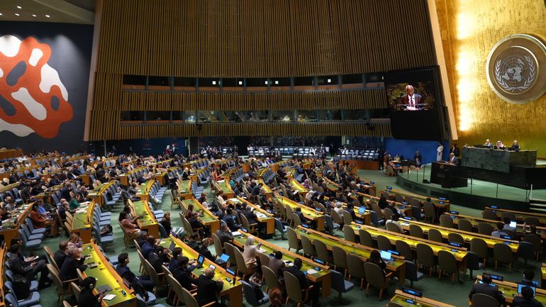 L'ONU se penche sur la solution à deux États : israélien et palestinien, pour essayer de parvenir à la paix au Proche-Orient