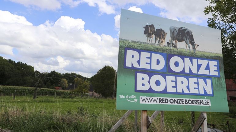 Flandre : qui sont ces agriculteurs prêts à voter pour le Vlaams Belang ?
