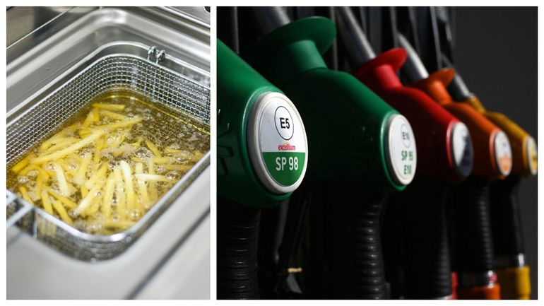 De l'huile de friture comme carburant ? C'est déjà possible en Belgique et c'est déjà dans votre diesel à la pompe