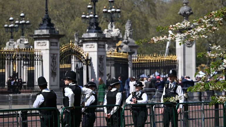 Londres : l'homme soupçonné d'être armé arrêté près de Buckingham Palace est interné