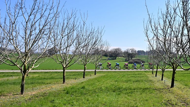 Un tracé rectiligne avant une courte montée finale : découvrez le parcours du chrono à l’Euro de cyclisme