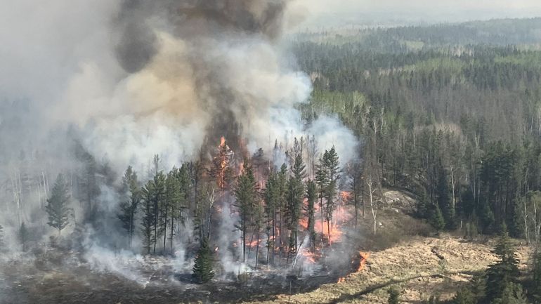 Canada : plus de 17.000 personnes évacuées en raison de gigantesques feux de forêt