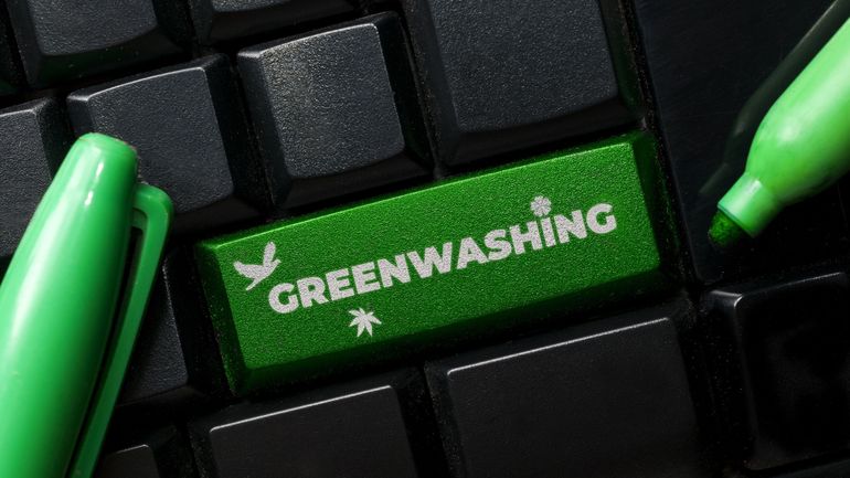 Les sites internet commerciaux sont nombreux à se rendre coupables de greenwashing