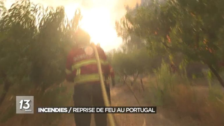 Incendies en Europe : Madrid décrète l'état de catastrophe naturelle dans les zones touchées