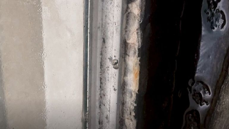 #Investigation sur les kots étudiants : gare aux moisissures et aux garanties locatives non remboursées