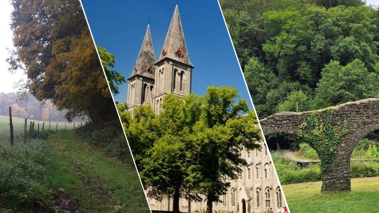 Les 5 marches fédérales organisées ces 20 et 21 septembre en Wallonie