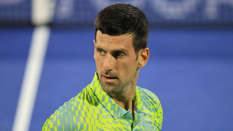 Djokovic soutenu par la fédération US dans sa demande d'entrer aux Etats-Unis